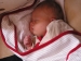 2006_Paul